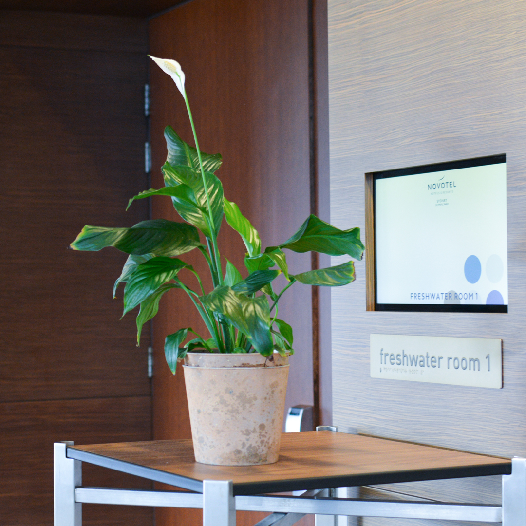 JDS_Novotel_Sydney_Room-screen